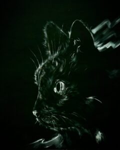 Nigrum Cattus