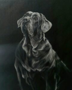 Sasha (mastín napolitano)