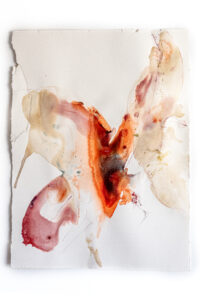 Metamorphosis-2