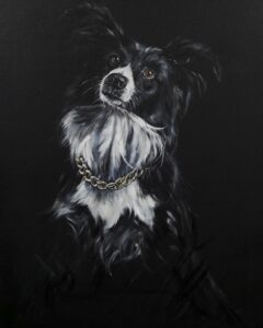 Igor (Border Collie)